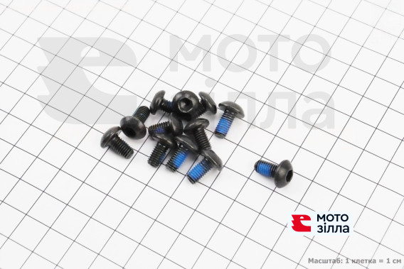 Болт тормозного диска M5x9мм, под шестигранник 4мм, 12шт. к-кт, черный