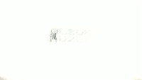 Наклейка букви SUZUKI (19х5см, 2шт, білий) (HCT10001)