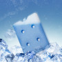 Аккумулятор холода гелевый IceBox, 23*17,5*2,5 см, 800 мл