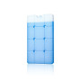 Аккумулятор холода гелевый IceBox, 30*17*2,5 см, 1000 мл