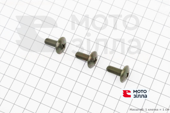 Болт M6 (Honda кріплення дзьоба) к-кт 3шт