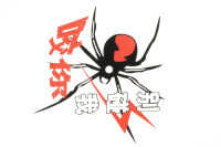 Наклейка декор SPIDER (12x11см) (2657)
